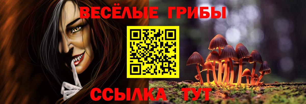 Псилоцибиновые грибы Cubensis Королёв