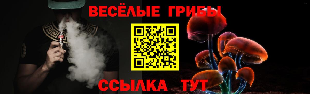 Псилоцибиновые грибы GOLDEN TEACHER  Вход с VPN  закладка  Королёв  Галлюциногенные грибы Magic Shrooms 